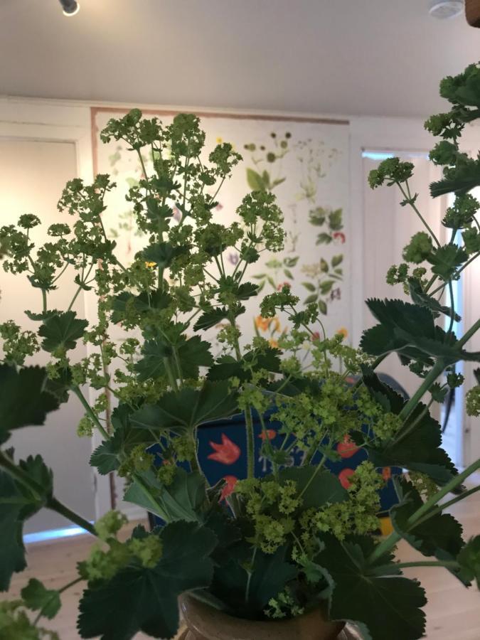 Willa Botanikerns hus Löderup Zewnętrze zdjęcie